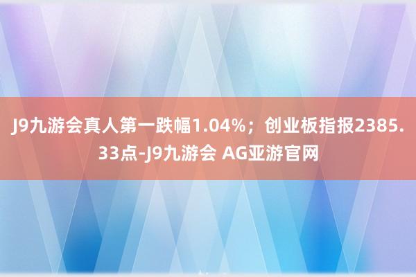 J9九游会真人第一跌幅1.04%；创业板指报2385.33点-J9九游会 AG亚游官网