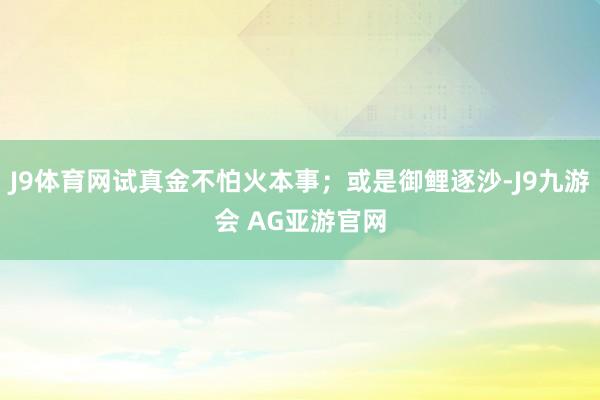 J9体育网试真金不怕火本事；或是御鲤逐沙-J9九游会 AG亚游官网