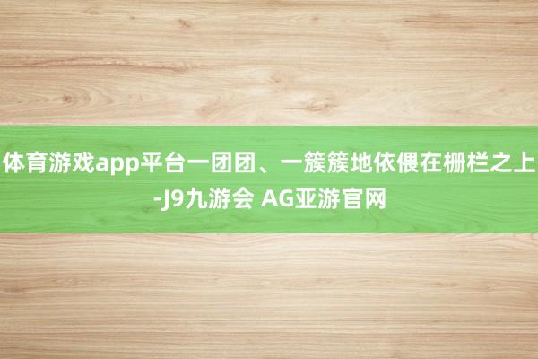 体育游戏app平台一团团、一簇簇地依偎在栅栏之上-J9九游会 AG亚游官网