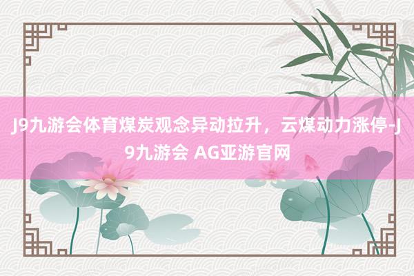 J9九游会体育煤炭观念异动拉升，云煤动力涨停-J9九游会 AG亚游官网
