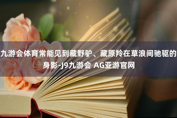 九游会体育常能见到藏野驴、藏原羚在草浪间驰驱的身影-J9九游会 AG亚游官网