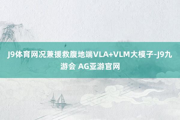 J9体育网况兼援救腹地端VLA+VLM大模子-J9九游会 AG亚游官网