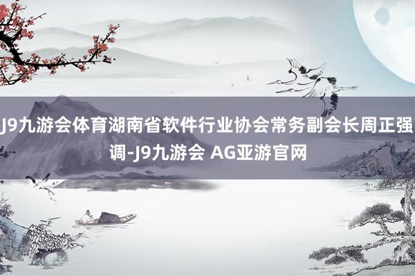 J9九游会体育湖南省软件行业协会常务副会长周正强调-J9九游会 AG亚游官网