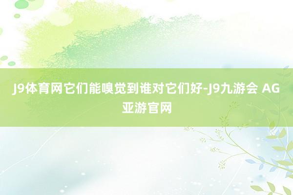 J9体育网它们能嗅觉到谁对它们好-J9九游会 AG亚游官网