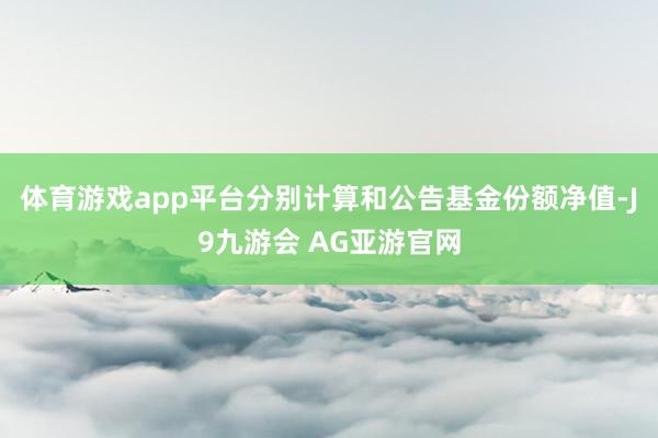 体育游戏app平台分别计算和公告基金份额净值-J9九游会 AG亚游官网
