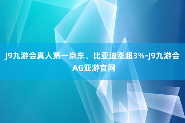 J9九游会真人第一京东、比亚迪涨超3%-J9九游会 AG亚游官网