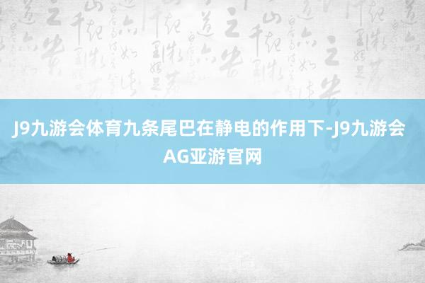 J9九游会体育九条尾巴在静电的作用下-J9九游会 AG亚游官网