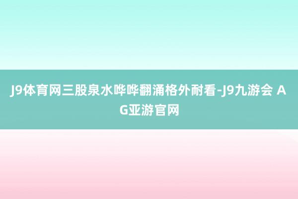 J9体育网三股泉水哗哗翻涌格外耐看-J9九游会 AG亚游官网