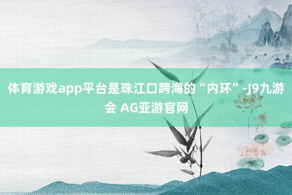 体育游戏app平台是珠江口跨海的“内环”-J9九游会 AG亚游官网