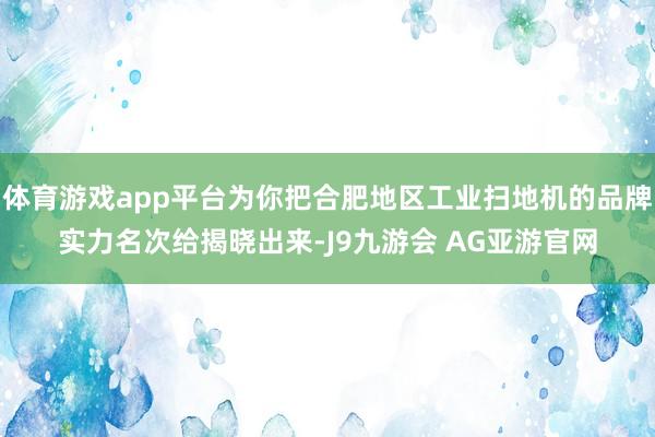 体育游戏app平台为你把合肥地区工业扫地机的品牌实力名次给揭晓出来-J9九游会 AG亚游官网