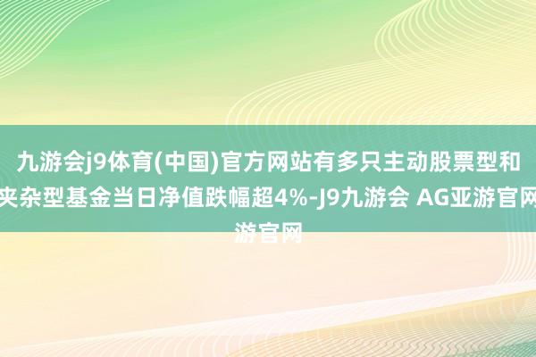 九游会j9体育(中国)官方网站有多只主动股票型和夹杂型基金当日净值跌幅超4%-J9九游会 AG亚游官网