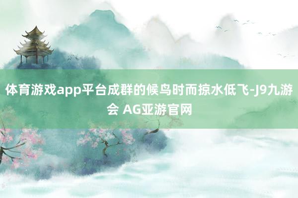 体育游戏app平台成群的候鸟时而掠水低飞-J9九游会 AG亚游官网