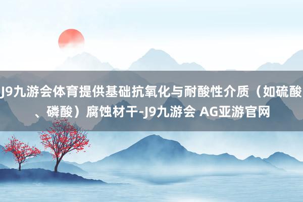 J9九游会体育提供基础抗氧化与耐酸性介质（如硫酸、磷酸）腐蚀材干-J9九游会 AG亚游官网