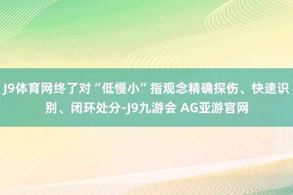 J9体育网终了对“低慢小”指观念精确探伤、快速识别、闭环处分-J9九游会 AG亚游官网
